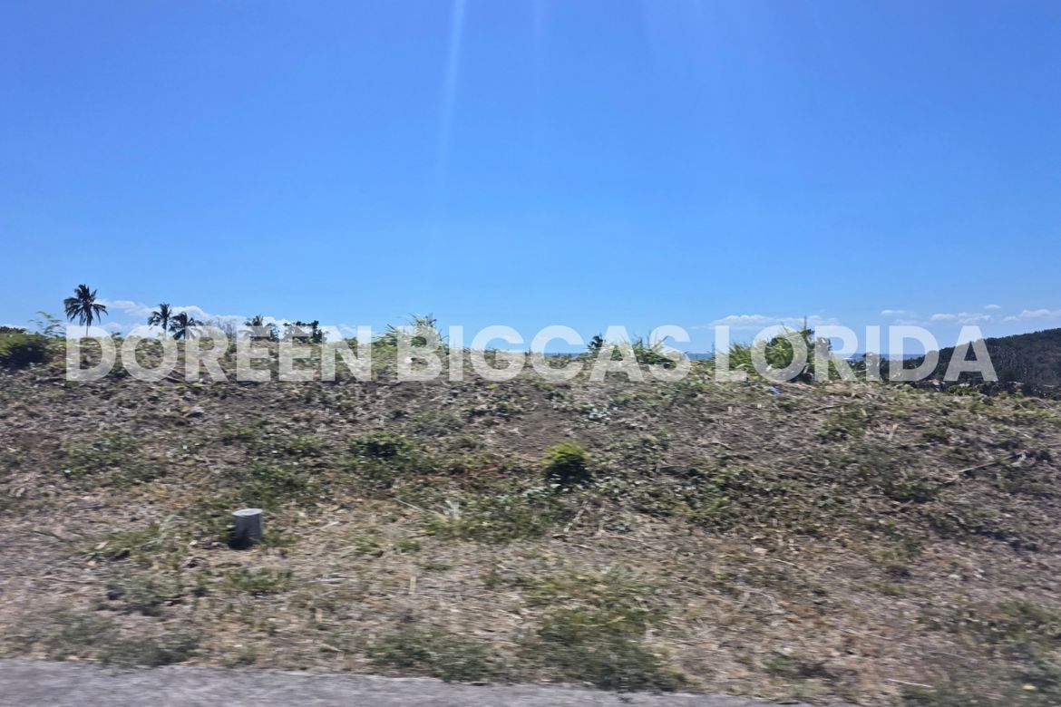 Land for Sale in Ayala Greenfield Estates, Maunong, Calamba, Laguna