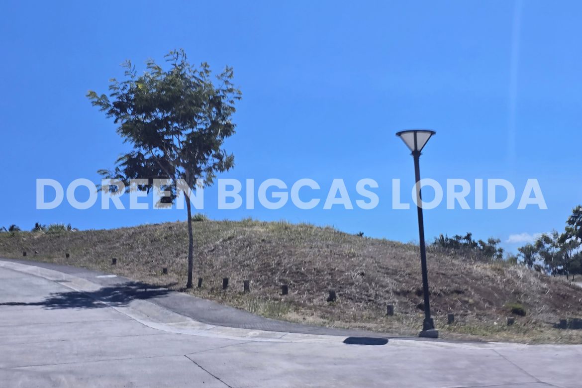 Land for Sale in Ayala Greenfield Estates, Maunong, Calamba, Laguna – photo 6