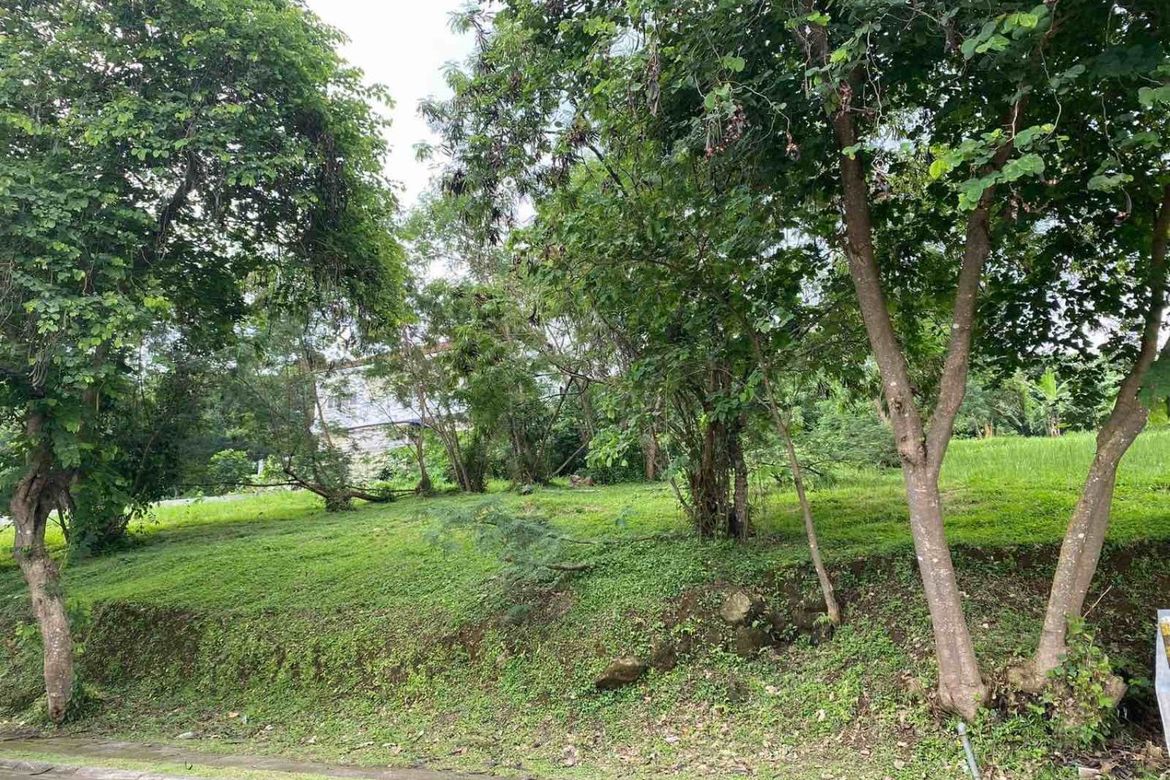 Land for Sale in Ayala Greenfield Estates, Maunong, Calamba, Laguna