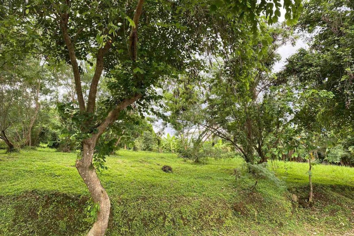 Land for Sale in Ayala Greenfield Estates, Maunong, Calamba, Laguna – photo 2