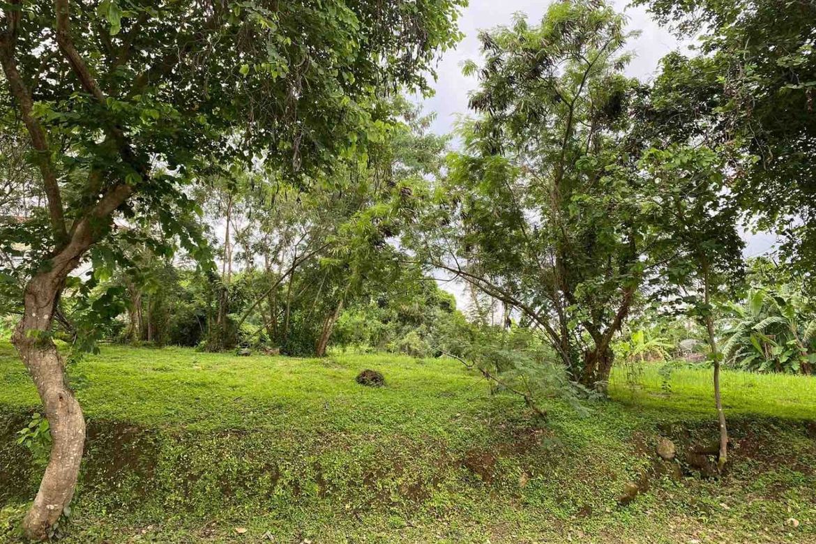 Land for Sale in Ayala Greenfield Estates, Maunong, Calamba, Laguna – photo 3