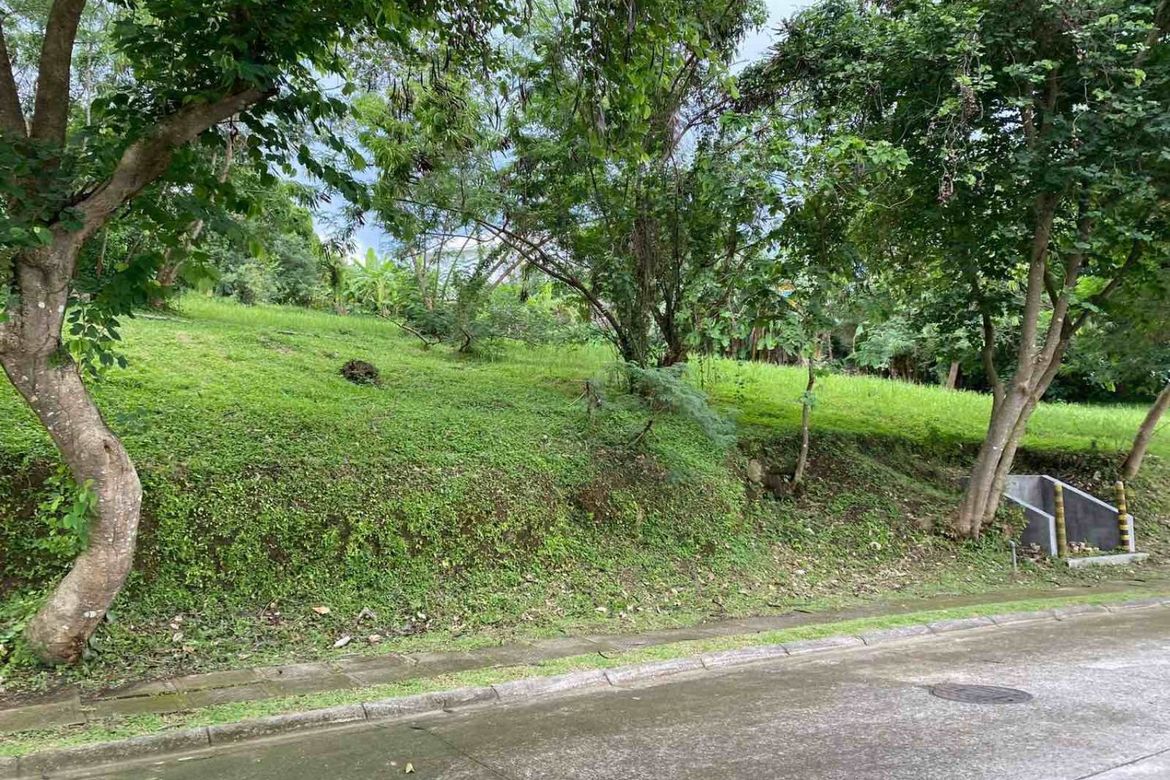 Land for Sale in Ayala Greenfield Estates, Maunong, Calamba, Laguna – photo 4