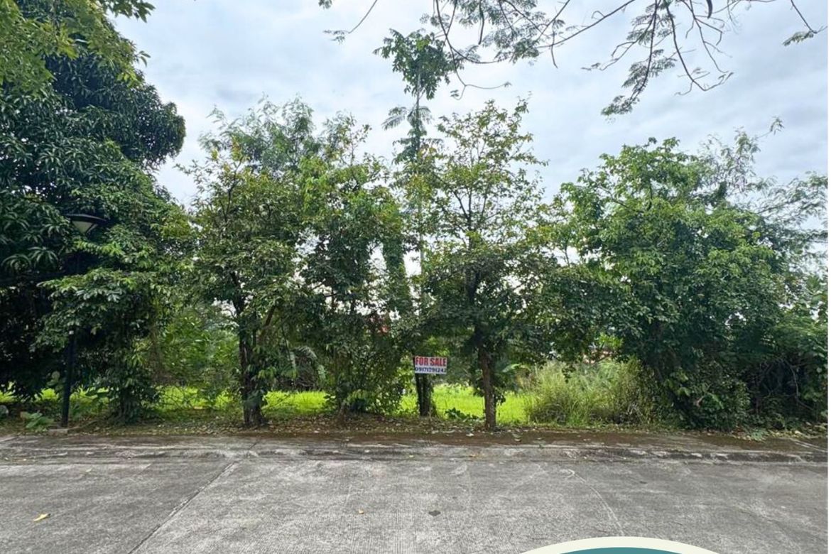 Land for Sale in Ayala Greenfield Estates, Maunong, Calamba, Laguna – photo 2