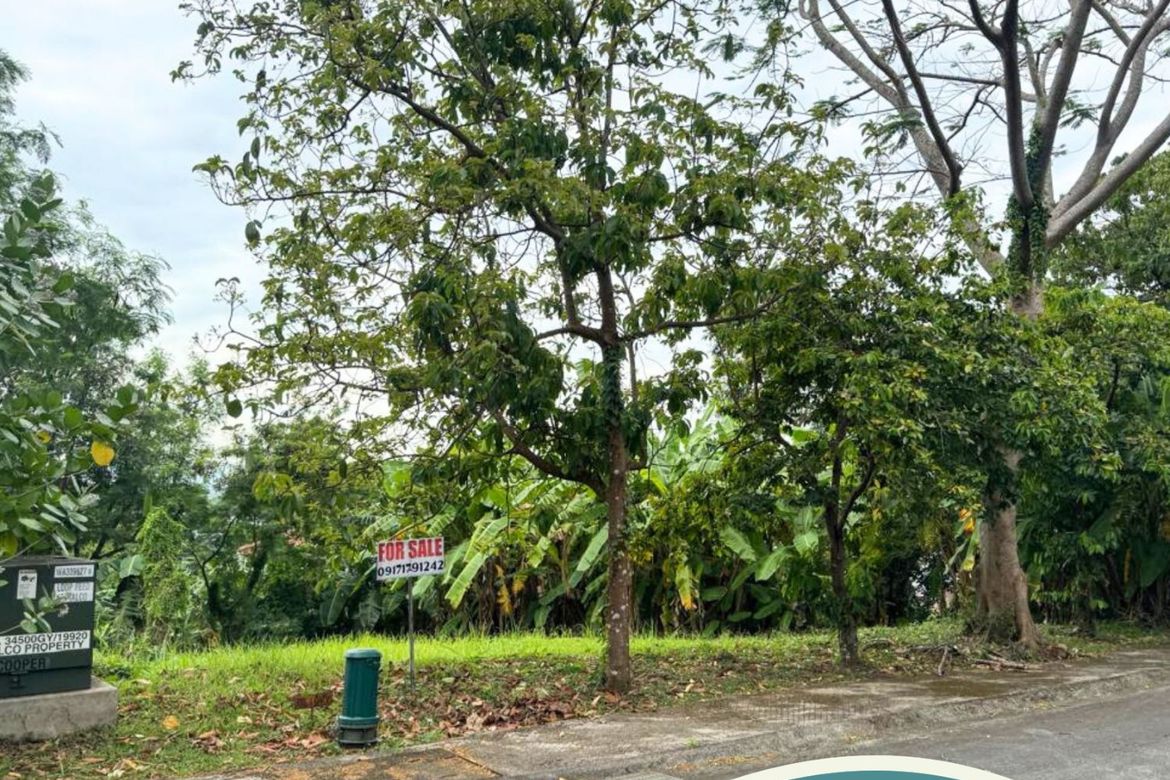 Land for Sale in Ayala Greenfield Estates, Maunong, Calamba, Laguna – photo 4