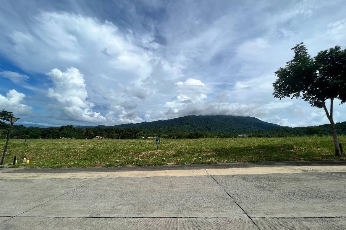 Land for Sale in Ayala Greenfield Estates, Maunong, Calamba, Laguna