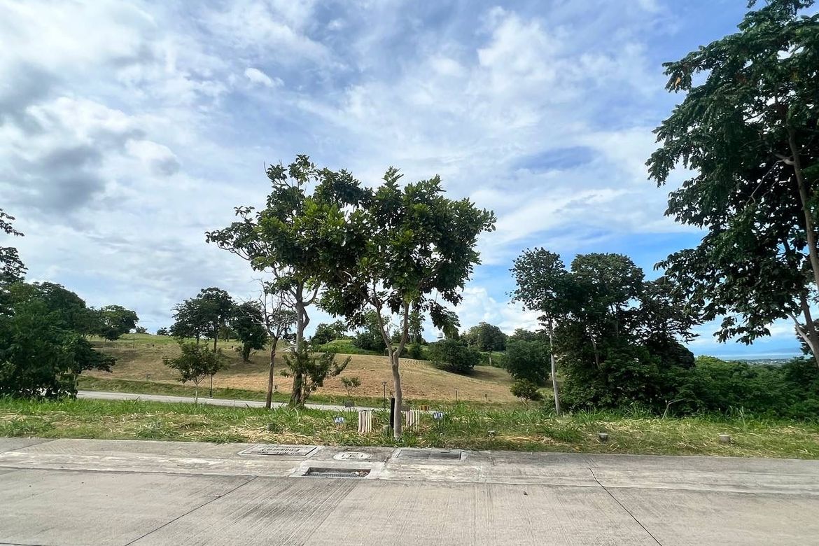Land for Sale in Ayala Greenfield Estates, Maunong, Calamba, Laguna – photo 3