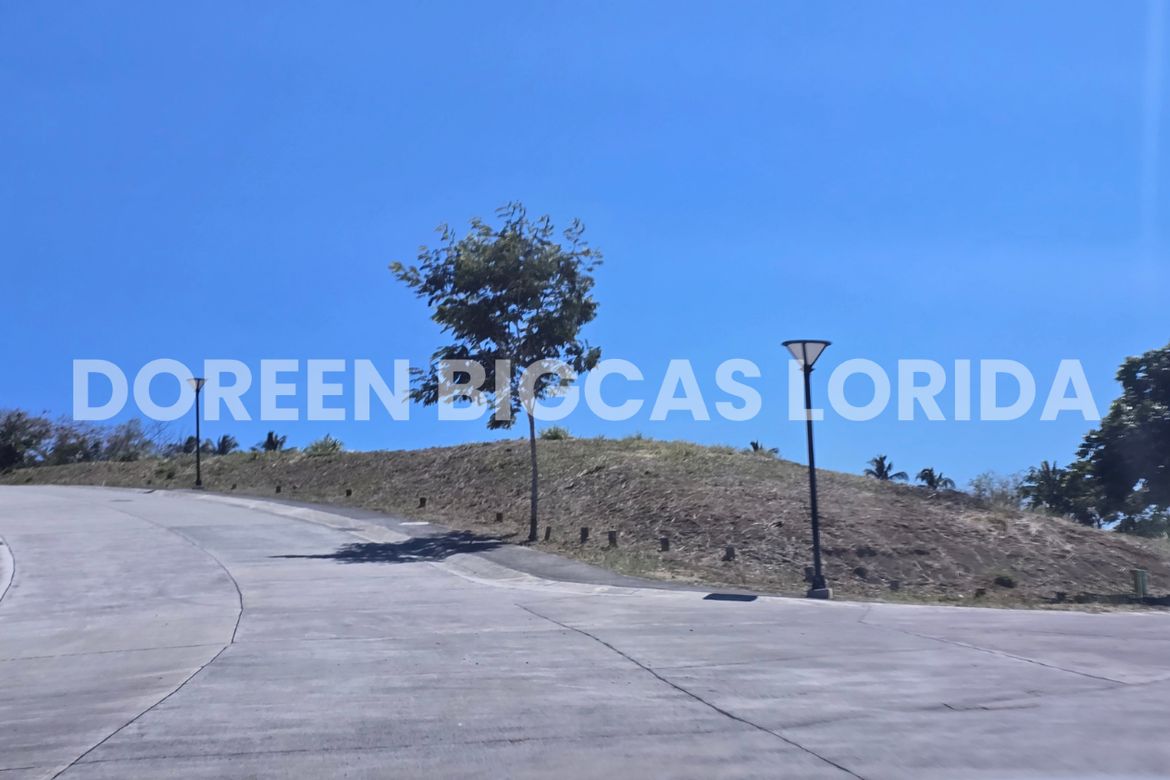 Land for Sale in Ayala Greenfield Estates, Maunong, Calamba, Laguna – photo 5