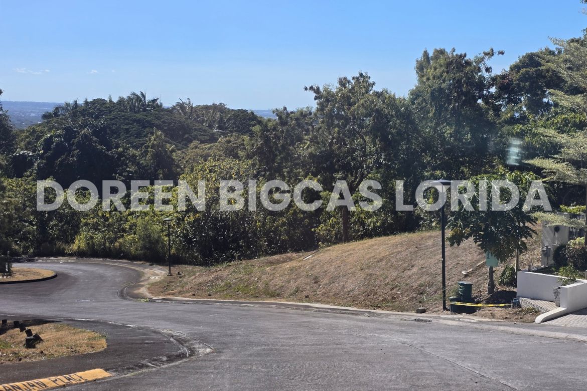 Land for Sale in Ayala Greenfield Estates, Maunong, Calamba, Laguna – photo 8