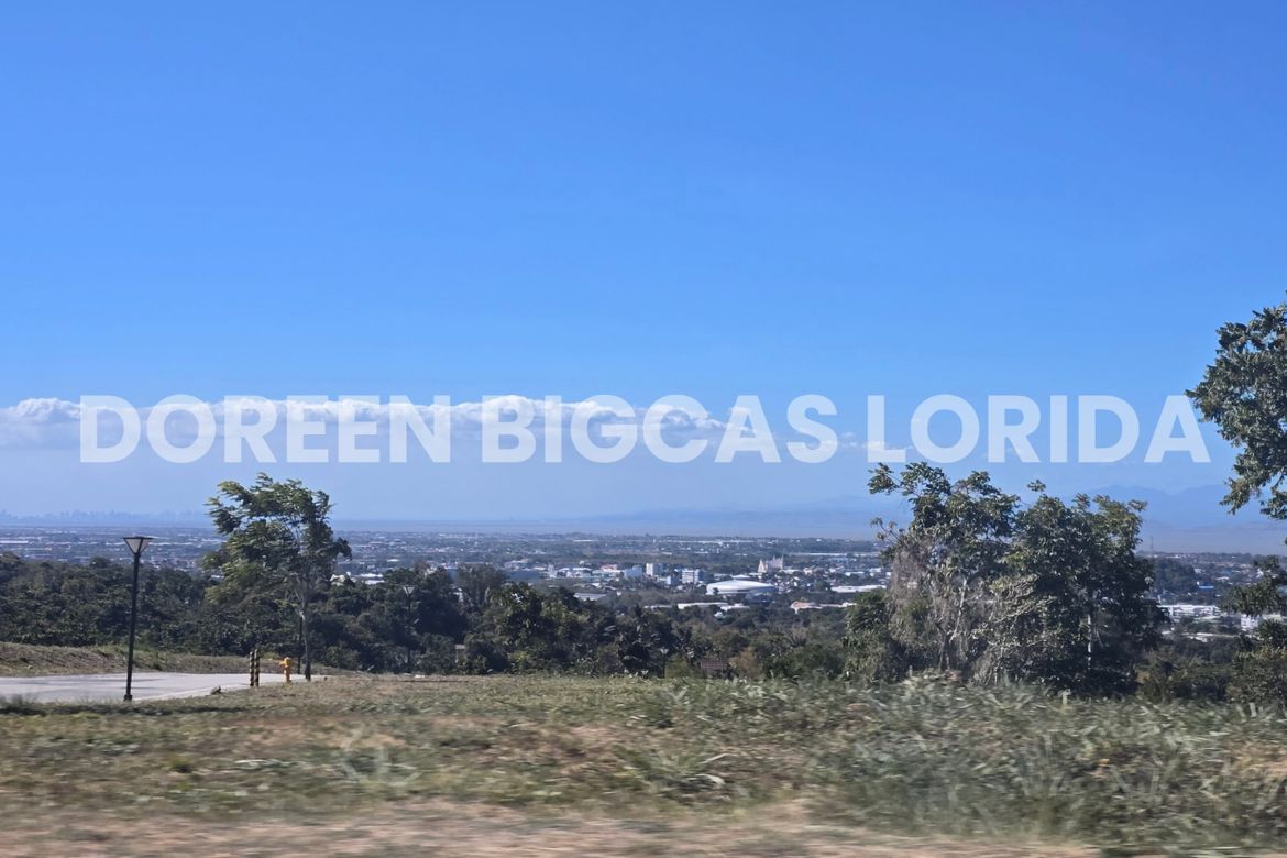 Land for Sale in Ayala Greenfield Estates, Maunong, Calamba, Laguna – photo 8