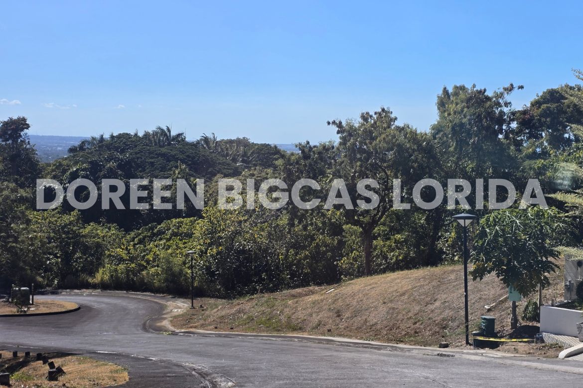 Land for Sale in Ayala Greenfield Estates, Maunong, Calamba, Laguna – photo 7