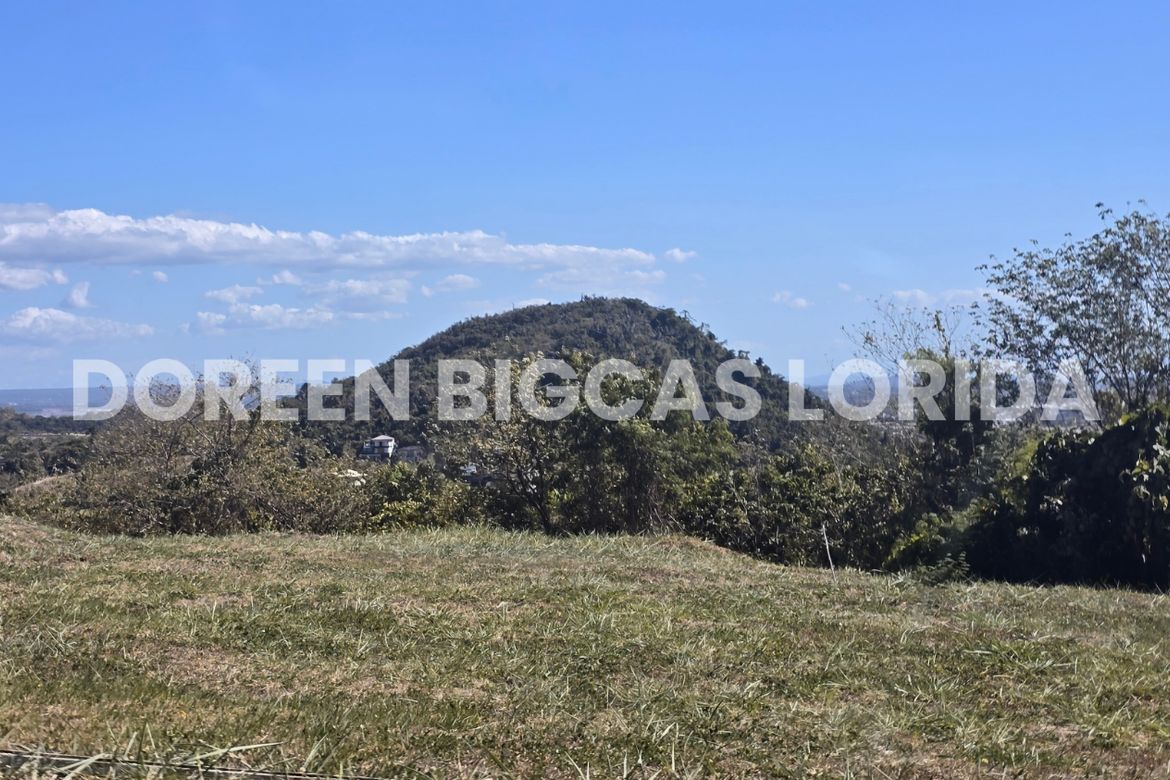 Land for Sale in Ayala Greenfield Estates, Maunong, Calamba, Laguna – photo 3