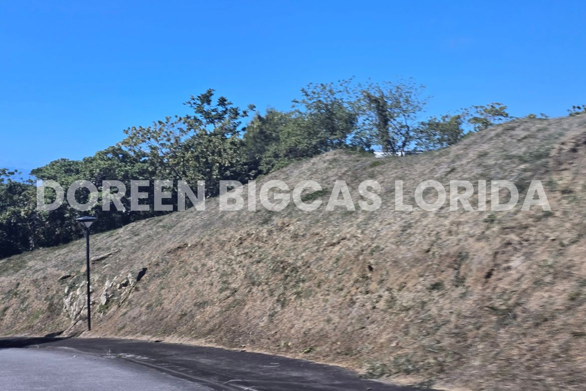 Land for Sale in Ayala Greenfield Estates, Maunong, Calamba, Laguna – photo 4