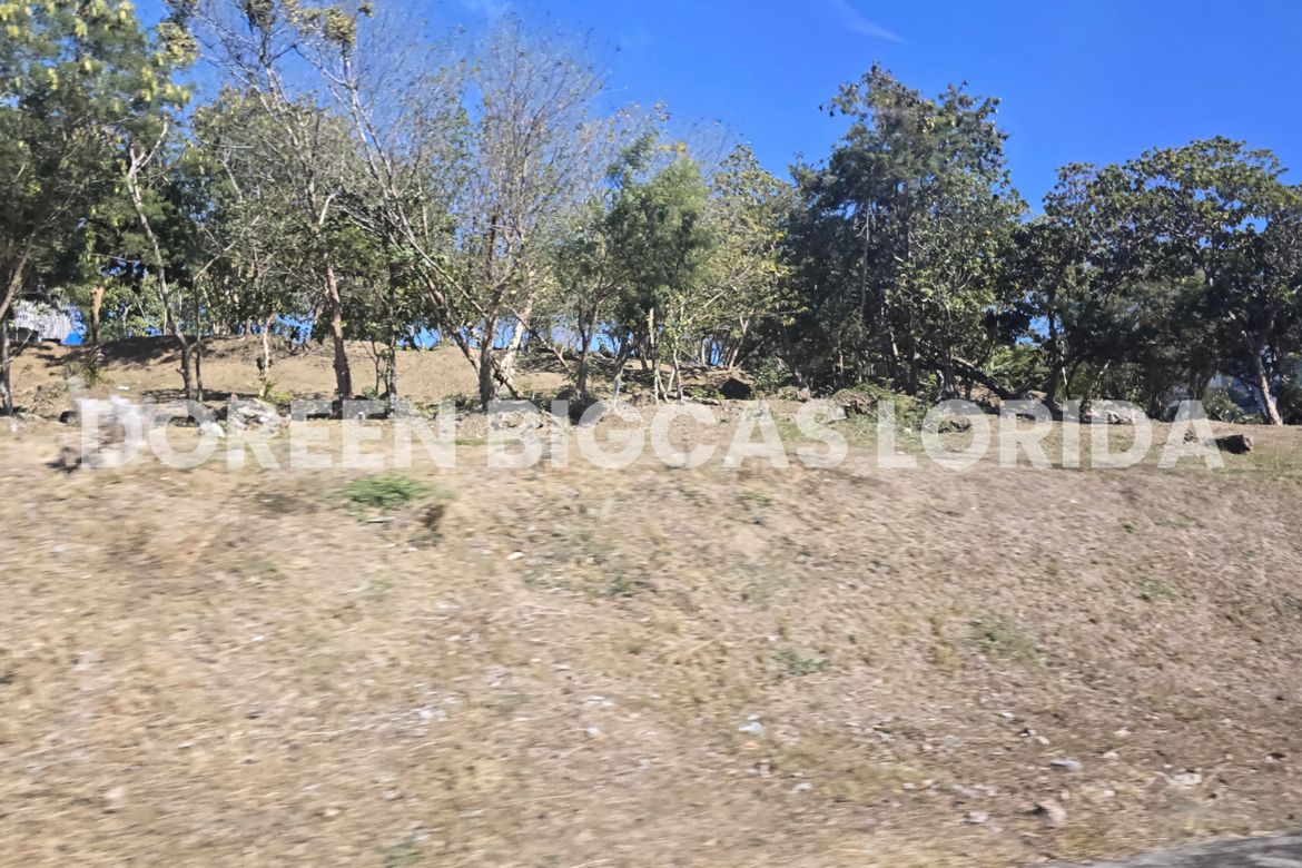 Land for Sale in Ayala Greenfield Estates, Maunong, Calamba, Laguna – photo 5