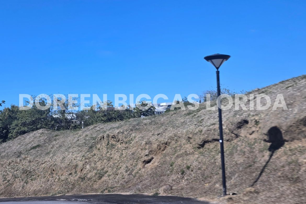 Land for Sale in Ayala Greenfield Estates, Maunong, Calamba, Laguna – photo 6