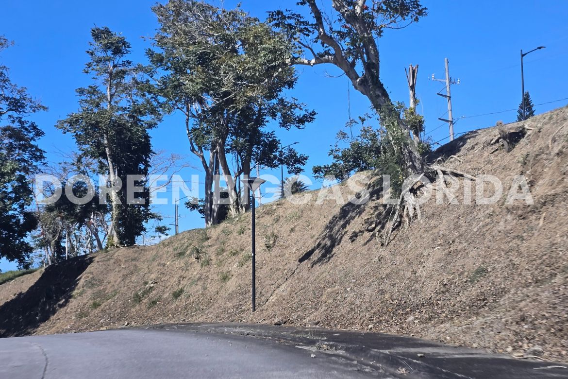 Land for Sale in Ayala Greenfield Estates, Maunong, Calamba, Laguna – photo 8