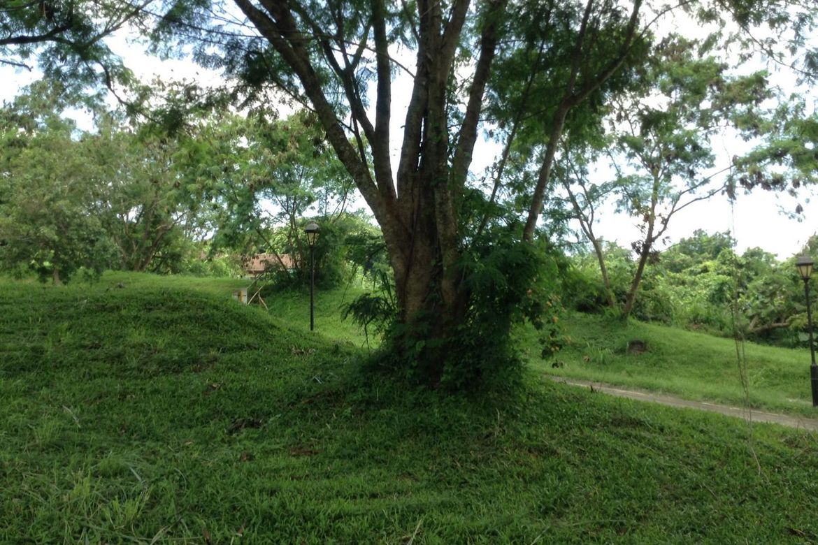 Land for Sale in Ayala Greenfield Estates, Maunong, Calamba, Laguna – photo 7