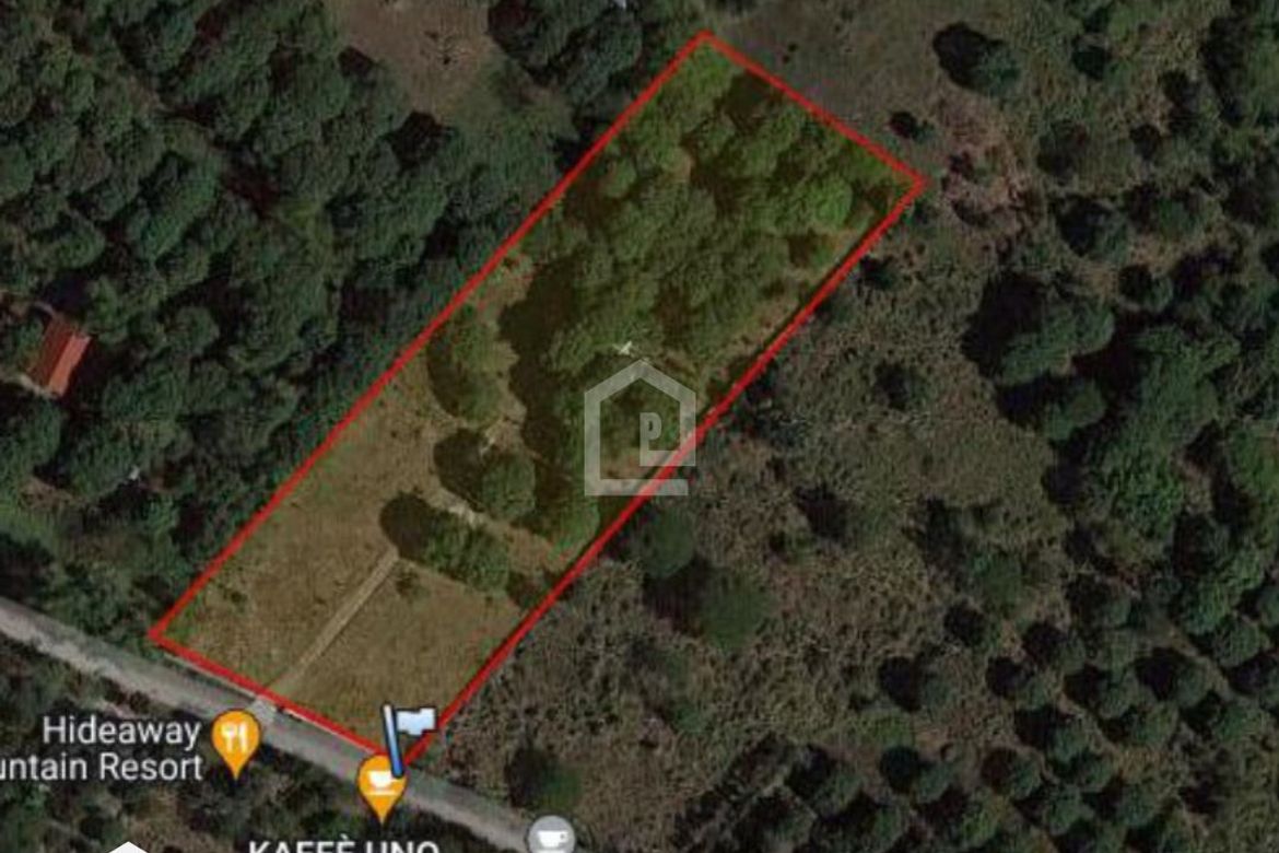 Land for Sale in Ayala, Magalang, Pampanga