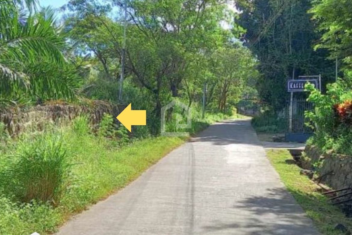 Land for Sale in Ayala, Magalang, Pampanga – photo 2