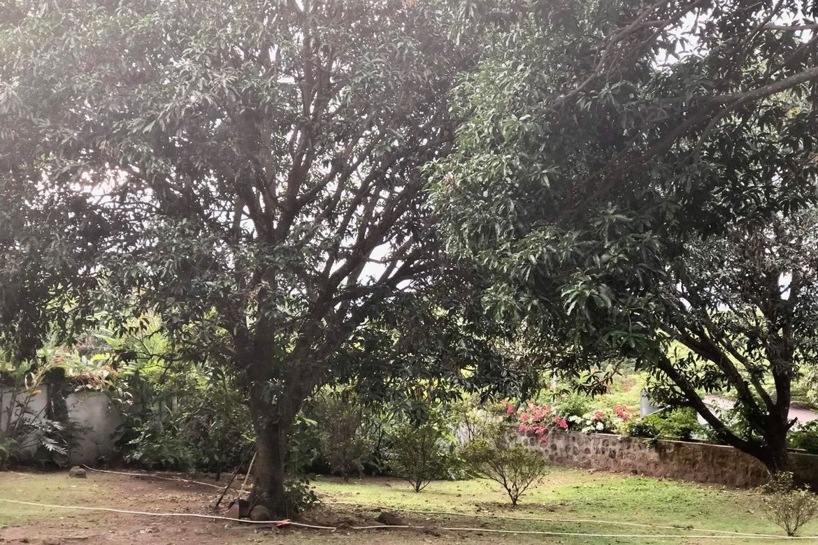 Land for Sale in Ayala, Magalang, Pampanga