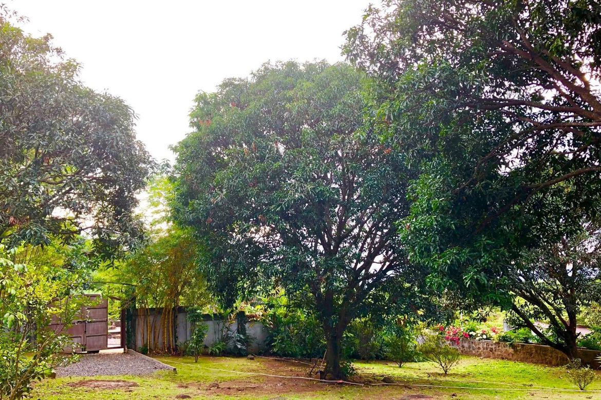 Land for Sale in Ayala, Magalang, Pampanga – photo 2