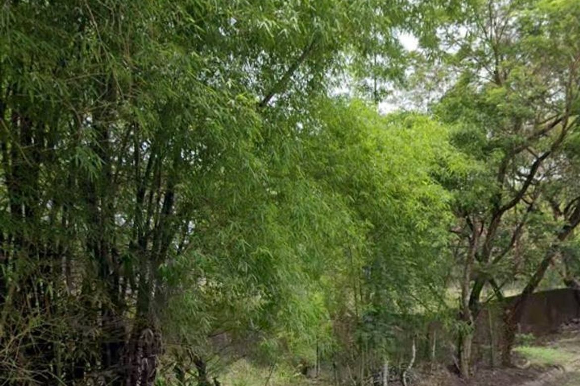 Land for Sale in Ayala, Magalang, Pampanga