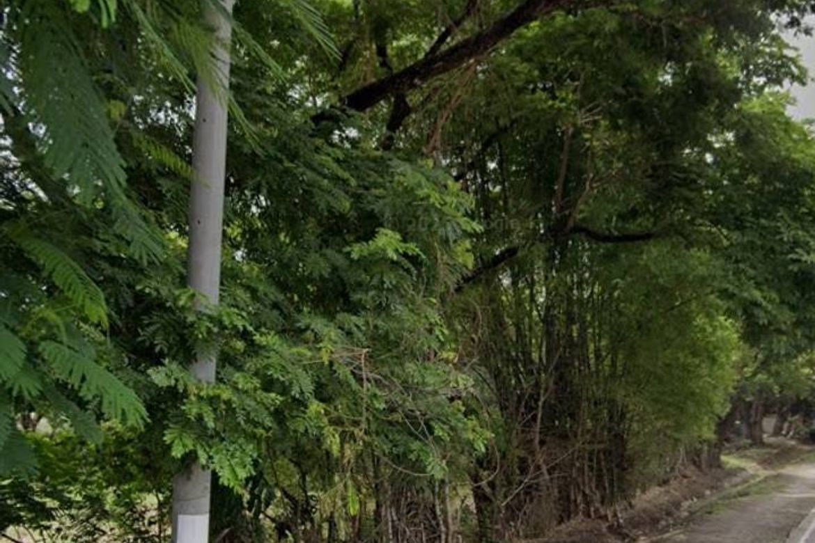 Land for Sale in Ayala, Magalang, Pampanga – photo 2