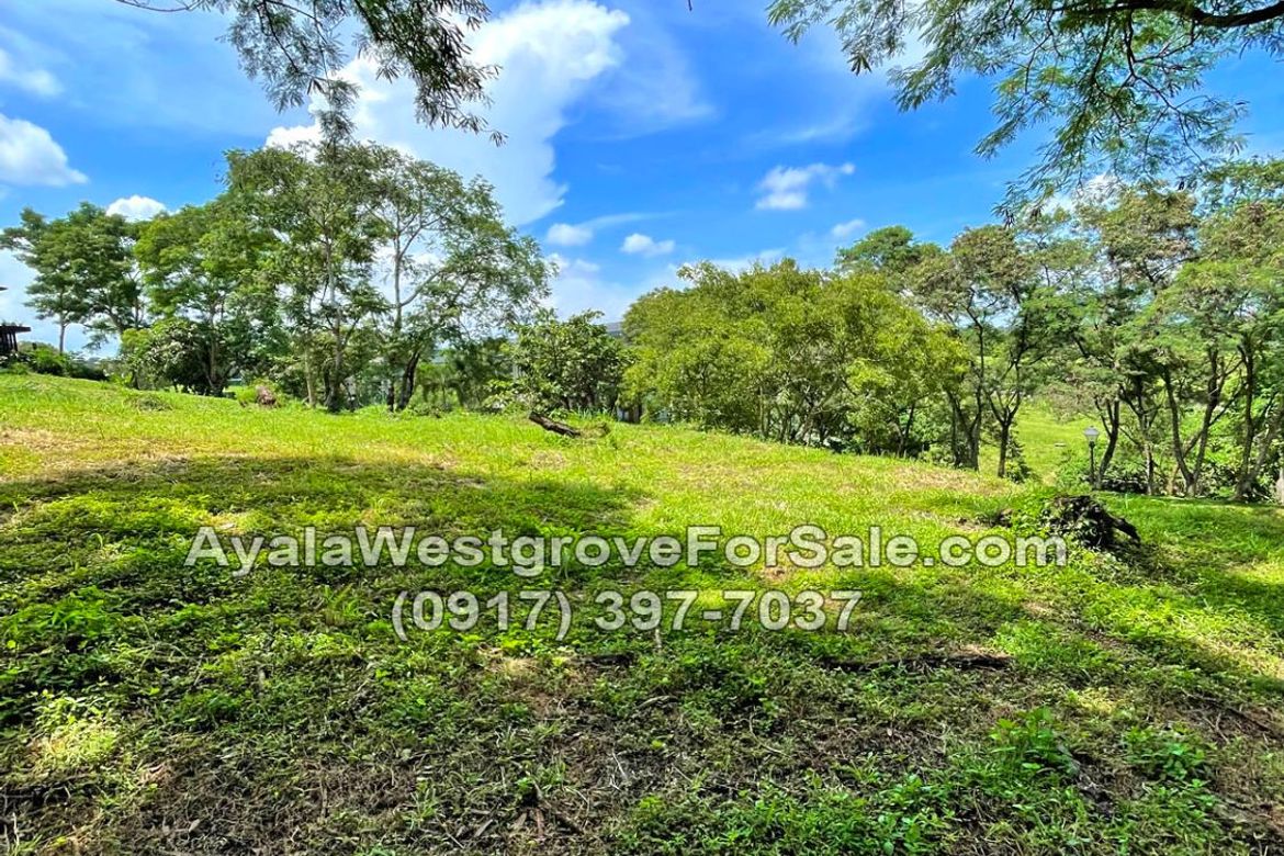 Land for Sale in Ayala Westgrove Heights, Inchican, Silang, Cavite – photo 3
