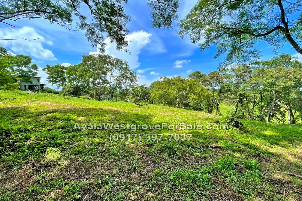 Land for Sale in Ayala Westgrove Heights, Inchican, Silang, Cavite – photo 6