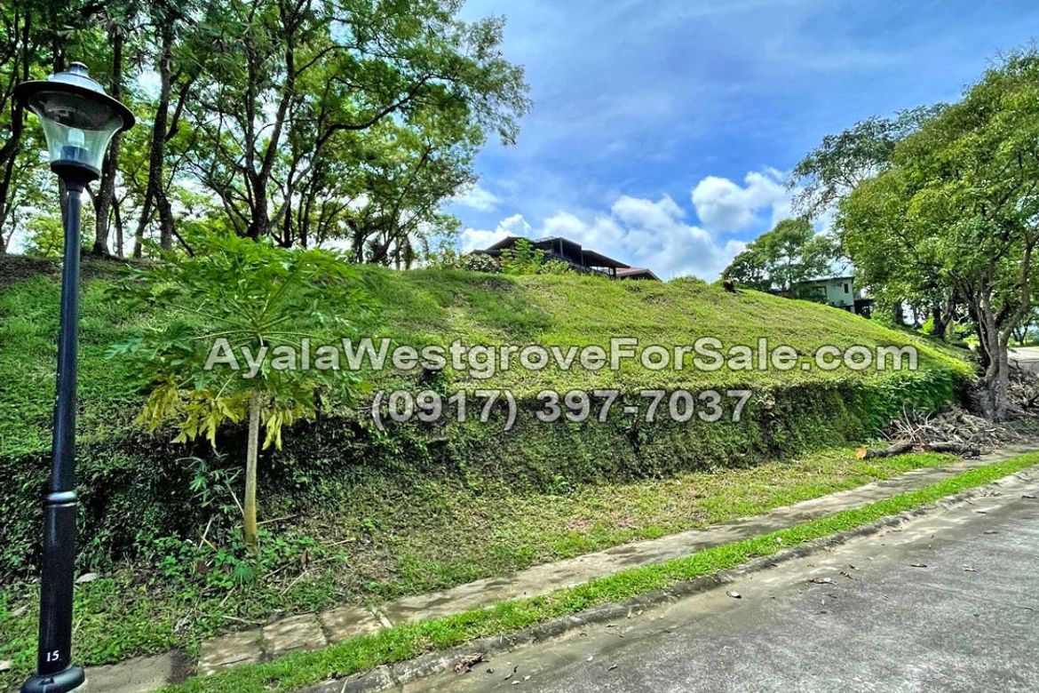 Land for Sale in Ayala Westgrove Heights, Inchican, Silang, Cavite – photo 8