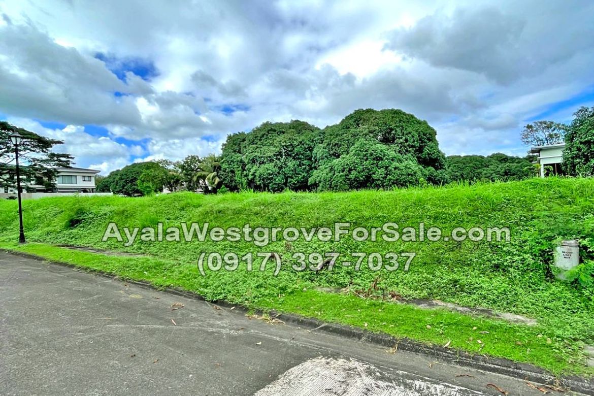 Land for Sale in Ayala Westgrove Heights, Inchican, Silang, Cavite – photo 4