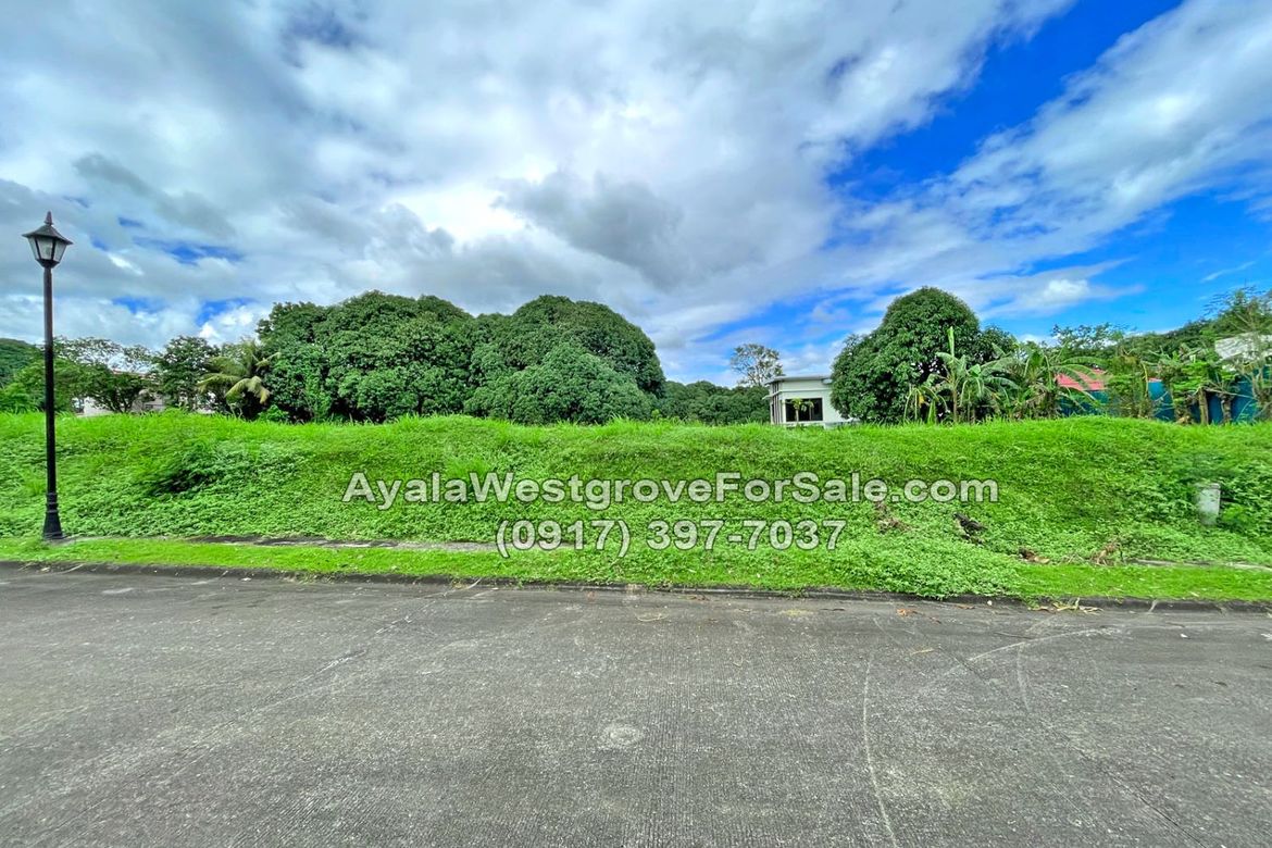 Land for Sale in Ayala Westgrove Heights, Inchican, Silang, Cavite – photo 5