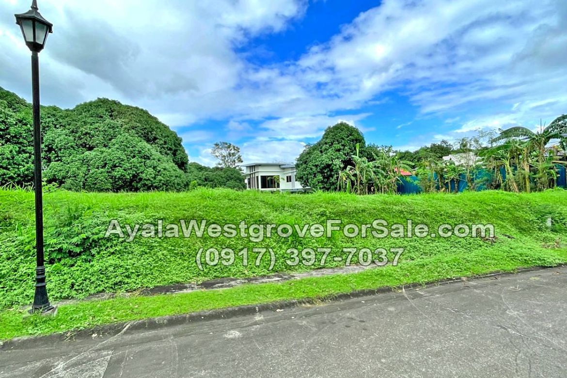 Land for Sale in Ayala Westgrove Heights, Inchican, Silang, Cavite – photo 8