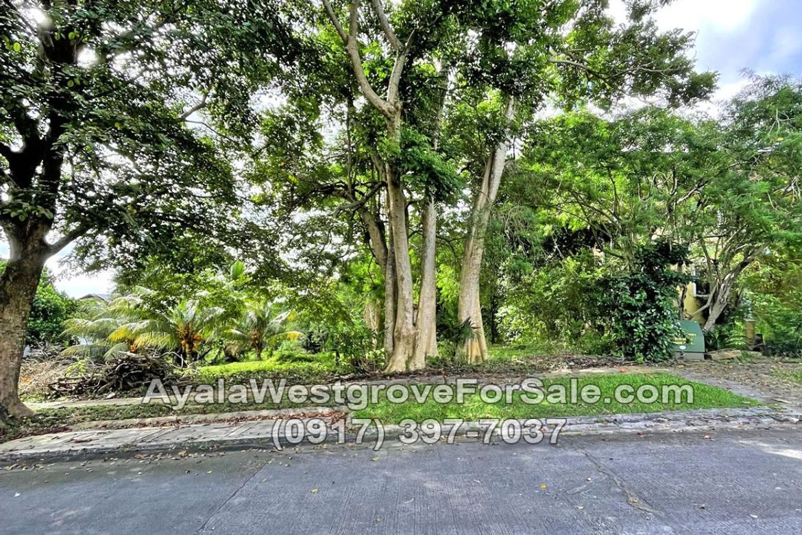 Land for Sale in Ayala Westgrove Heights, Inchican, Silang, Cavite – photo 2