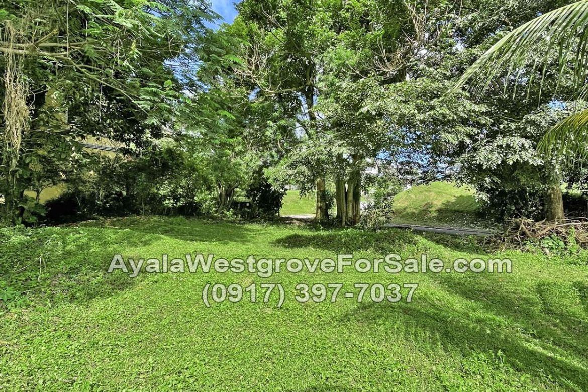 Land for Sale in Ayala Westgrove Heights, Inchican, Silang, Cavite – photo 4