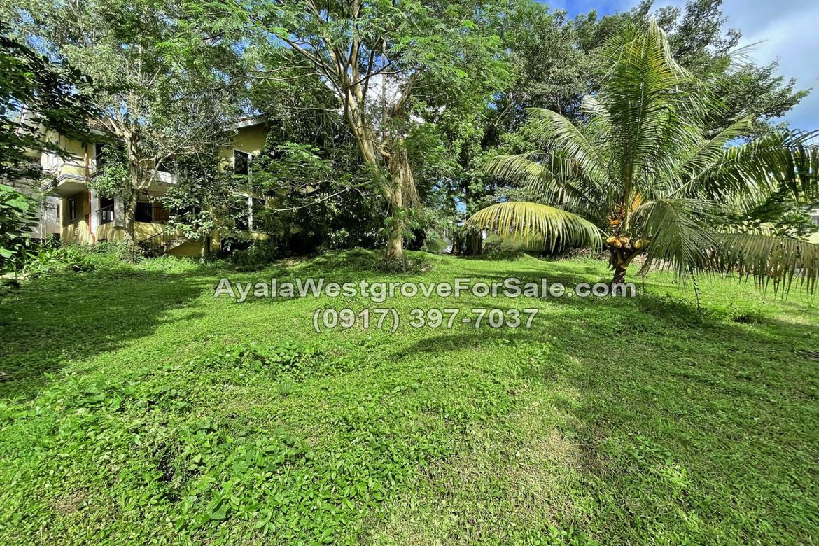 Land for Sale in Ayala Westgrove Heights, Inchican, Silang, Cavite – photo 5