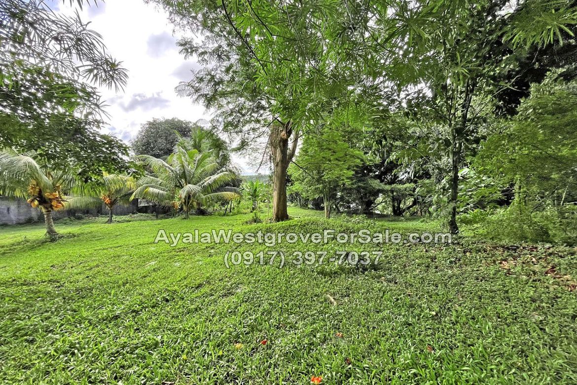Land for Sale in Ayala Westgrove Heights, Inchican, Silang, Cavite – photo 7