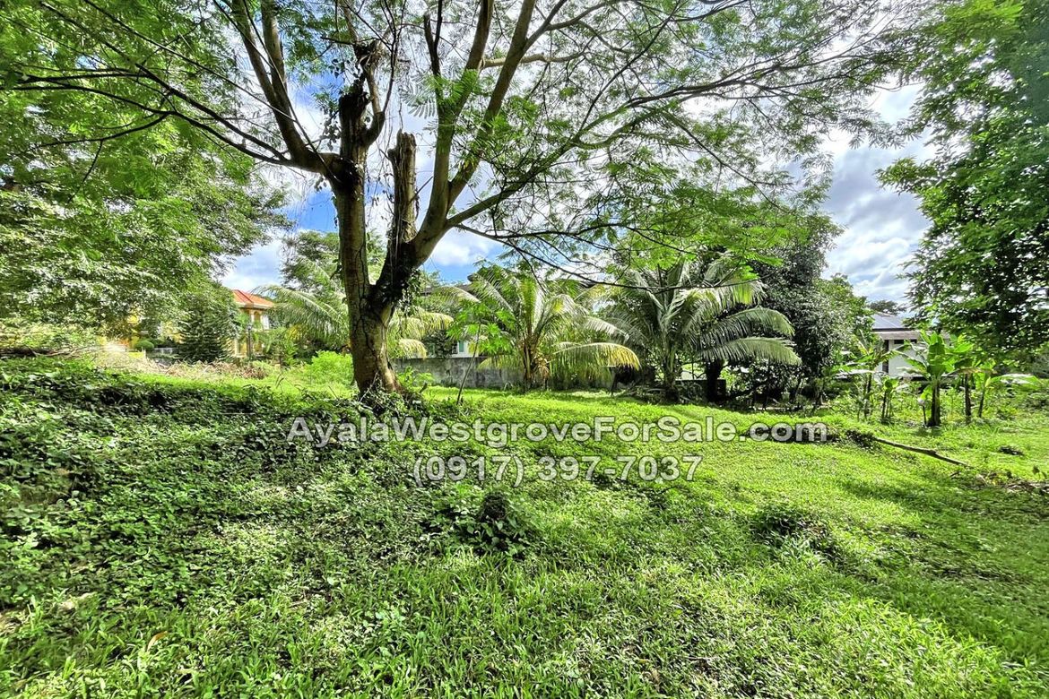 Land for Sale in Ayala Westgrove Heights, Inchican, Silang, Cavite – photo 8