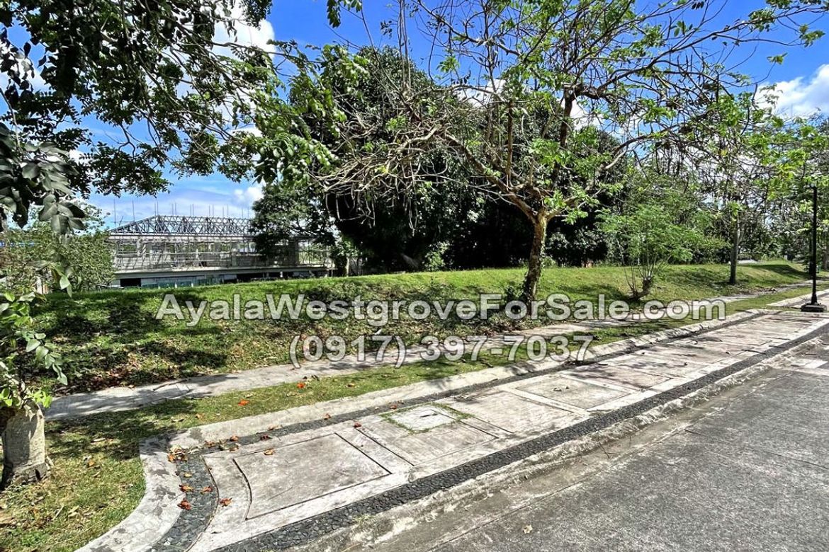 Land for Sale in Ayala Westgrove Heights, Inchican, Silang, Cavite – photo 5