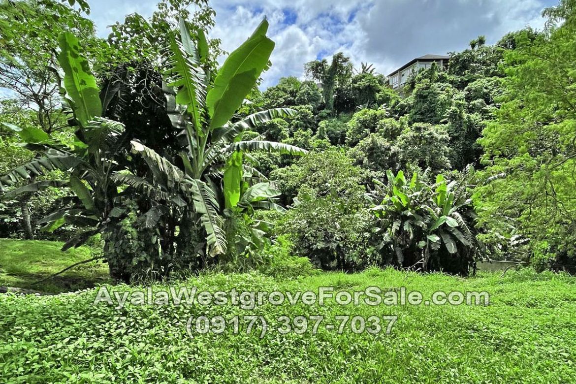 Land for Sale in Ayala Westgrove Heights, Inchican, Silang, Cavite – photo 4