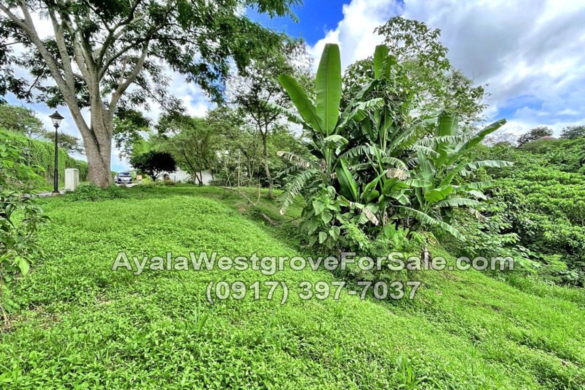 Land for Sale in Ayala Westgrove Heights, Inchican, Silang, Cavite – photo 6