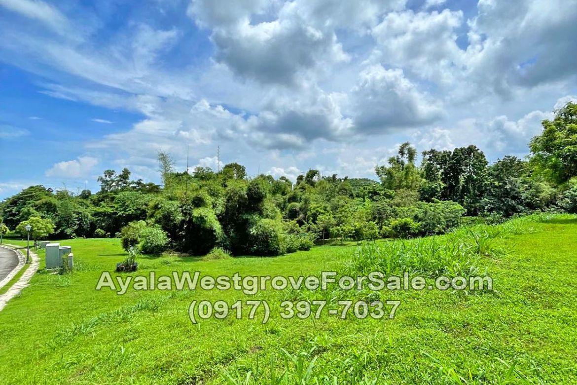 Land for Sale in Ayala Westgrove Heights, Inchican, Silang, Cavite – photo 2