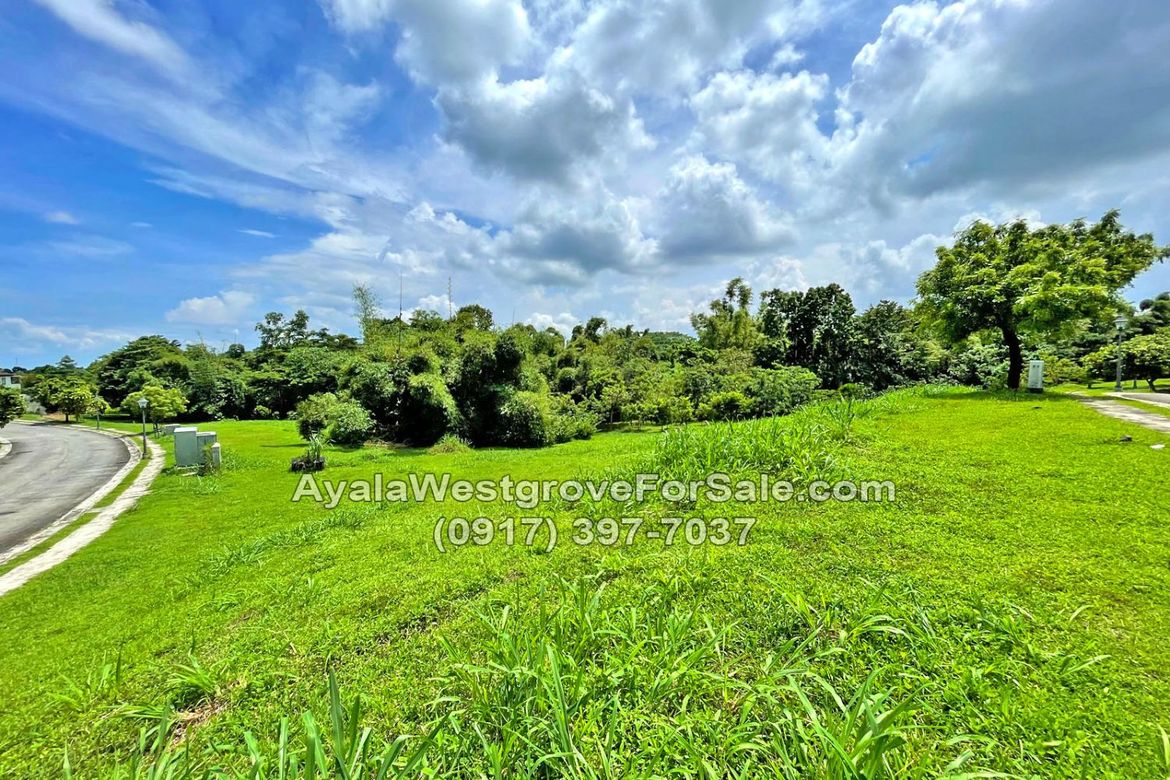 Land for Sale in Ayala Westgrove Heights, Inchican, Silang, Cavite – photo 3