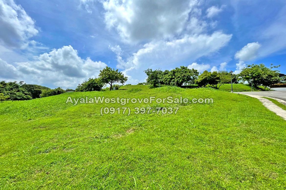 Land for Sale in Ayala Westgrove Heights, Inchican, Silang, Cavite – photo 7