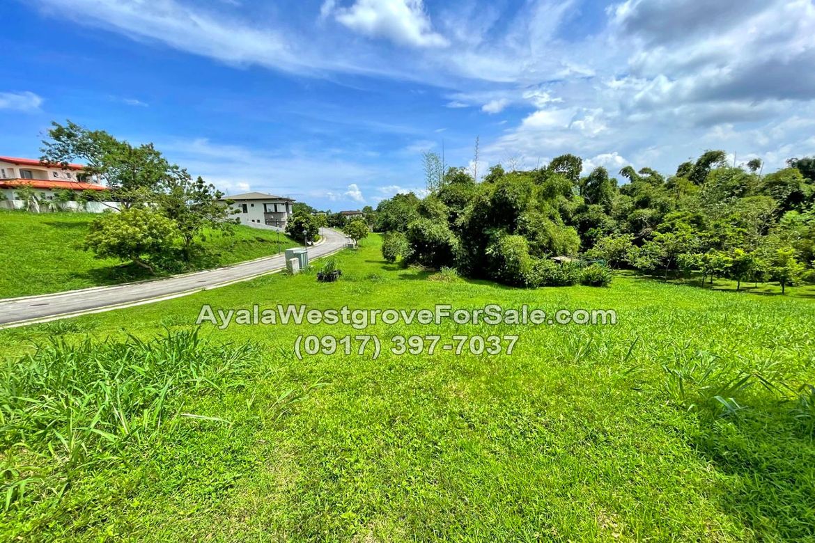 Land for Sale in Ayala Westgrove Heights, Inchican, Silang, Cavite – photo 8