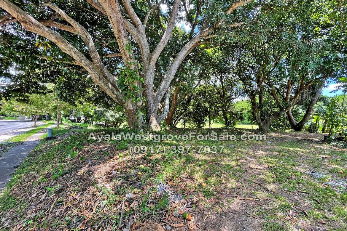 Land for Sale in Ayala Westgrove Heights, Inchican, Silang, Cavite – photo 2
