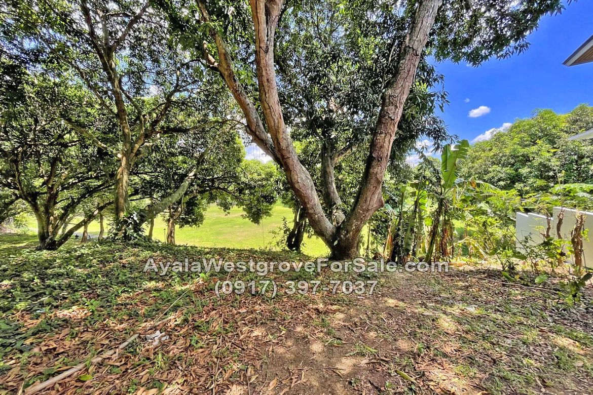 Land for Sale in Ayala Westgrove Heights, Inchican, Silang, Cavite – photo 4
