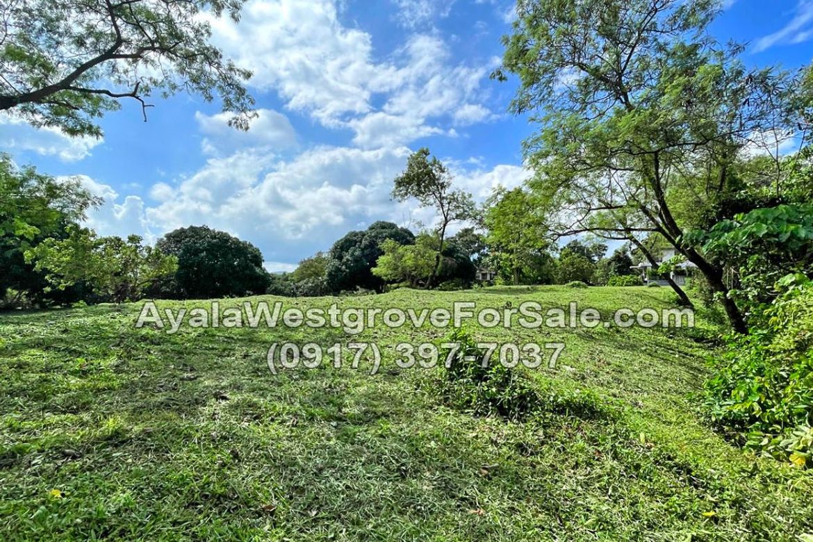 Land for Sale in Ayala Westgrove Heights, Inchican, Silang, Cavite – photo 3