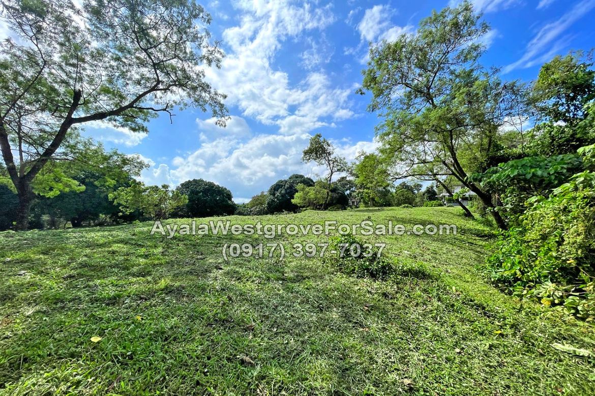 Land for Sale in Ayala Westgrove Heights, Inchican, Silang, Cavite – photo 5