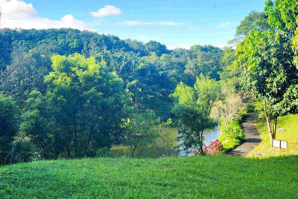 Land for Sale in Ayala Westgrove Heights, Inchican, Silang, Cavite – photo 8