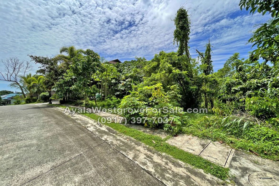 Land for Sale in Ayala Westgrove Heights, Inchican, Silang, Cavite
